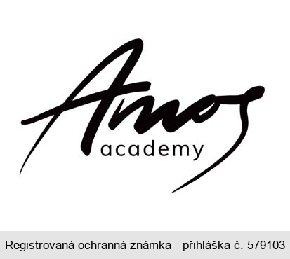 Amos academy