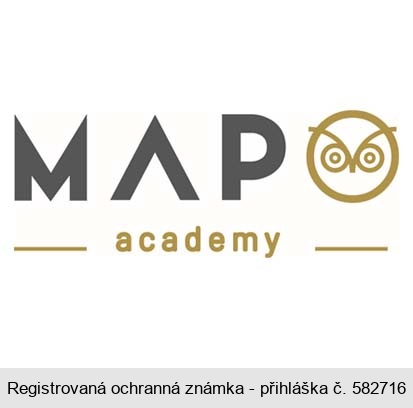 MAPO academy