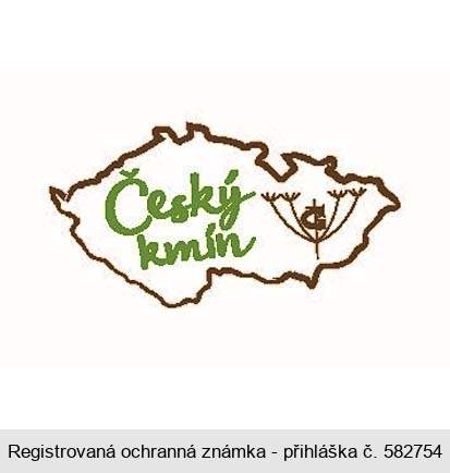 Český kmín