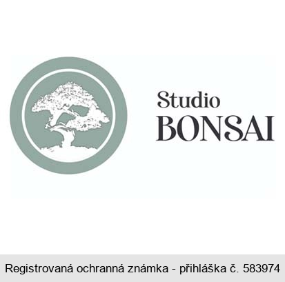 Studio BONSAI