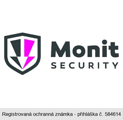 Monit SECURITY