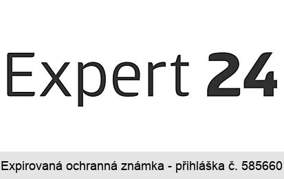 Expert 24