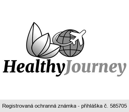 Healthy Journey