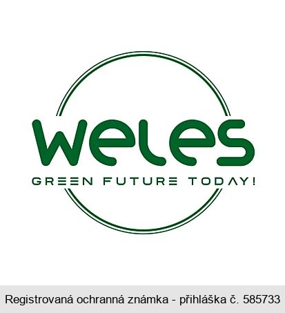 WELES GREEN FUTURE TODAY !