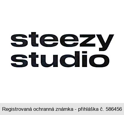 steezy studio
