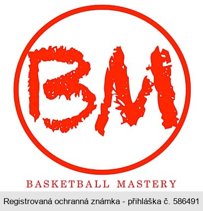 BM BASKETBALL MASTERY