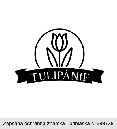 Tulipánie