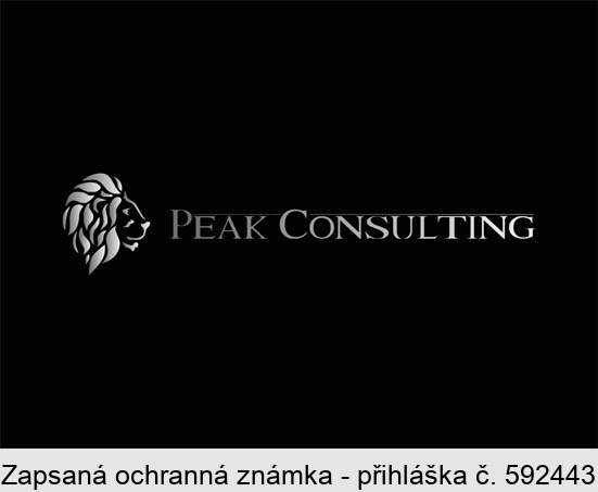 Peak Consulting
