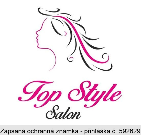Top Style Salon