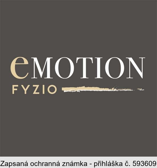 eMOTION FYZIO