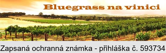 Bluegrass na vinici