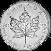 Stbrn mince 5 CAD Maple Leaf 1 Oz 2010