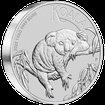 Stbrn mince 1 kg Australian Koala 2022
