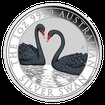 Stbrn mince 1 Oz Australian Swan (Labu ern) 2022 Color