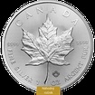 Stbrn mince 5 CAD Maple Leaf 1 Oz