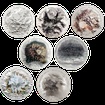 Exkluzivn kolekce stbrnch minc 7 x 5 Oz Seven Summits (2016-2022) Ultra High Relief