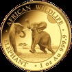 Zlatá mince 1000 Schillings Elephant (Slon africký) 1 Oz 2024 (African Wildlife Series)