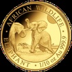 Zlatá mince 100 Schillings Elephant (Slon africký) 1/10 Oz 2024 (African Wildlife Series)