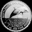 Stbrn mince 1 Oz Bottlenose Dolphin (Delfn skkav) 2019