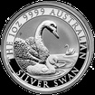 Stbrn mince 1 Oz Australian Swan (Labu ern) 2019