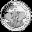 Stbrn mince 100 Schillings Elephant (Slon africk) 1 Oz 2021 (African Wildlife Series)