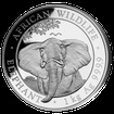 Stbrn mince 2000 Schillings Elephant (Slon africk) 1 kg 2021 (African Wildlife Series)