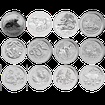 Kompletn sada Lunrn srie II. 12 x 1 Oz stbrnch minc (2008-2019)