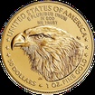 Zlat mince 50 USD American Eagle 1 Oz 2021 New Design (Typ 2)