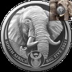 Stbrn mince Big Five II - Elephant (Slon) 1 Oz 2021 - (1.)