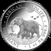Stbrn mince 100 Schillings Elephant (Slon africk) 1 Oz 2022 (African Wildlife Series)