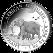 Stbrn mince 2000 Schillings Elephant (Slon africk) 1 kg 2022 (African Wildlife Series)