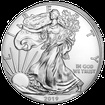 Stbrn mince 1 USD American Eagle 1 Oz