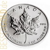 Platinov mince Maple Leaf 1 oz