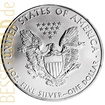 Stříbrná mince American Eagle 1 oz 2013