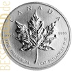 Palladiov mince Maple Leaf 1 oz