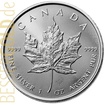 Stříbrná mince Maple Leaf 1 oz