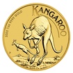 Zlatá investiční mince Nugget Kangaroo Klokan 31,1 g (1 Oz)