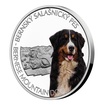 Stbrn mince Ps plemena - Bernsk salanick proof 31,1 g (1 Oz)