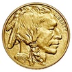 Zlat investin mince American Buffalo 31,1 g (1 Oz)