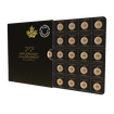 Zlat investin mince Maple Leaf MAPLEGRAMS25 25 g