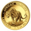 Zlat investin mince Africk divoina Somlsk leopard 31,1 g (1 Oz)