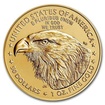 Zlat mince 1 Oz American Eagle 2021 typ 2