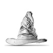 Stbrn mince 22,2 g Harry Potter Sorting Hat 2022