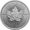 Stbrn mince 1 Oz Maple Leaf 2024