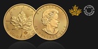 Investiční zlatý mince 31.1g Maple Leaf