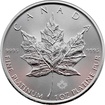Platinov investin mince Maple Leaf 1 Oz
