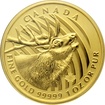 Zlat investin mince Elk 1 Oz 2017 (.99999)