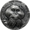 Stbrn mince 5 Oz Orangutan - Big Five Asia High Relief 2023 Antique Standard