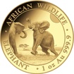 Zlat investin mince Slon africk Somlsko 1 Oz 2024