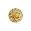 American Buffalo (2024) - 1 Oz - Investin zlat mince